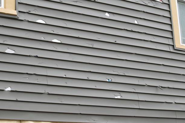 Best Insulated Siding Installation  in Leonville, LA